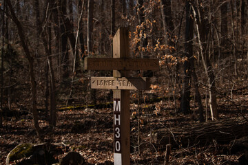 This is an image of a trail markers showing hikers the way to go. The brown signage marking the trails in the wooded area. This indicator is up to help people from getting lost.