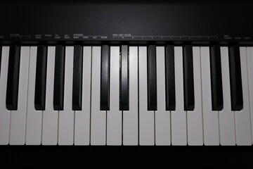 Digital piano. Piano keys close-up. Matte finish on digital piano keys.
