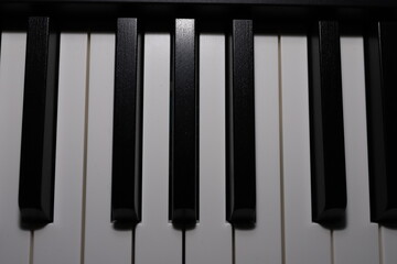 Piano keys close-up. Matte key cover.