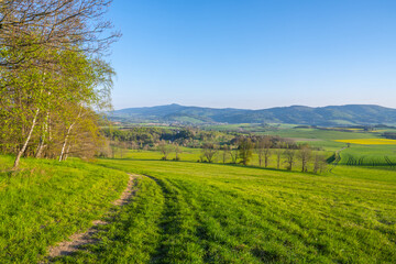 A breathtaking view of the Jested Ridge horizon, captured from a lush green field under a clear blue sky. The serene atmosphere suggests early morning or late afternoon. Located in Czech Republic
