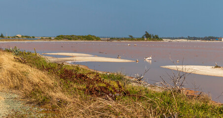 Shot of the two different colored lakes in Cuba, Cayo Coco island. Pink one has its color because...