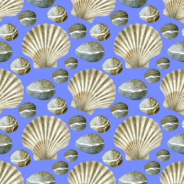 Seamless pattern of watercolor Seashell and sea pebbles. Hand drawn illustration of sea Shell on lavender background. Colorful drawing of Scallop. Ocean Cockleshell marine underwater. For print