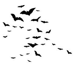 Silhouettes of flying bats