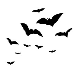 Naklejka premium Silhouettes of flying bats