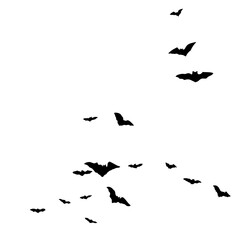 Silhouettes of flying bats