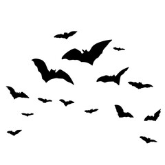 Silhouettes of flying bats