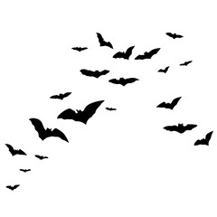 Silhouettes of flying bats