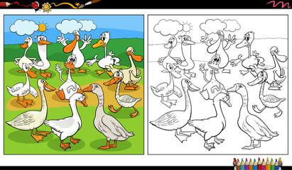 cartoon geese birds farm animal characters group coloring page