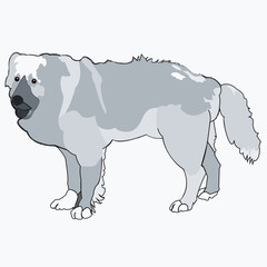 vector portrait of a close-up of serious yellow dog breed Labrador Retriever sits