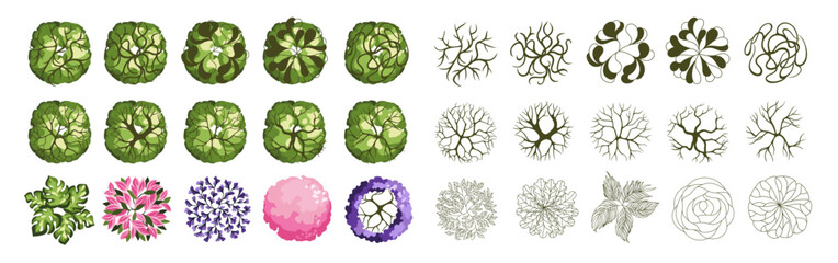 Tree for architectural floor plans. Entourage design. Various trees, bushes, and shrubs, top view for the landscape design plan. Vector illustration.