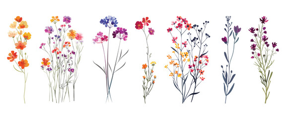 Set of hand-painted watercolor wildflowers on a white background, perfect for elegant designs
