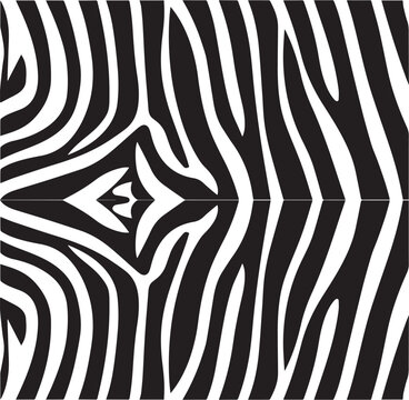 Zebra Stripes Pattern. Zebra print, animal skin, tiger stripes, abstract pattern, line background, fabric. Amazing hand drawn vector illustration. Poster, banner. Black and white artwork