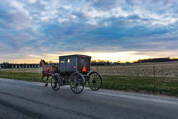 An Amish buggy travels a rural road in late winter.