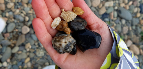 Beautiful river pebbles in your hand on the background of the sea. Colorful pebbles in the palm of your hand