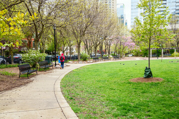 Woman walking alone on a fotpath lined with metal benches in a small  urban park surrounded by...