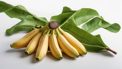 banana branch on white background - 768141040