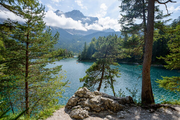 Baum Und Markanter Felsbrocken Vor