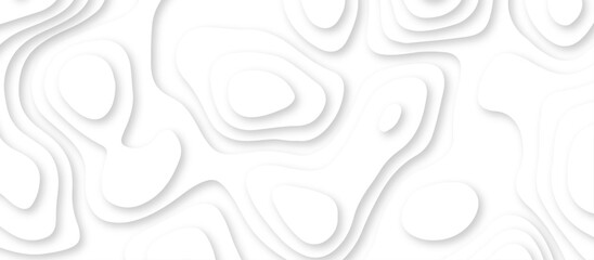 Abstract geometric layered curve line white background. 3d render, paper cut vector art background banner texture. multi layer cutout geometric patterns with smooth wavy layer. white background.