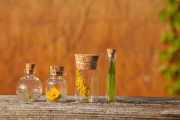 Natural Essential Oils and Herbs in Bottles