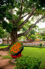 Hanoi - Vietnam. December 03, 2015. Temple of Literature. Top choice Confucian Temple in Hanoi.A...