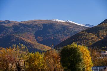 Beautiful mountain forest in autumn colors, Armenia	
