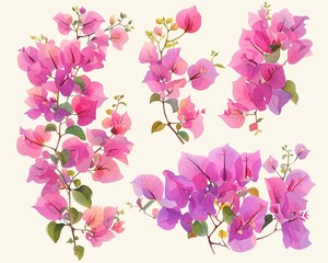 Watercolor bougainvillea clipart featuring bright pink and purple flowers