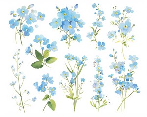 Watercolor forgetmenot clipart with small blue flowers and green leaves