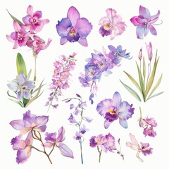 Watercolor orchid clipart featuring exotic blooms in purple and pink hues