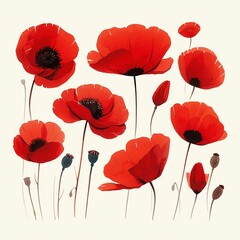 A simple illustration of a red poppy flower on a white background