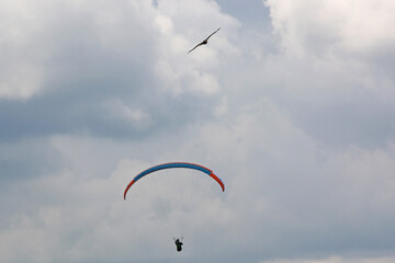 Paraglider and red kite flying in a cloudy sky	
