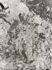 Carpet in different colors. High pile, patterns. Background