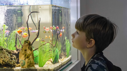 Cute little boy watching excited the exotic fish in his aquarium