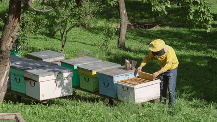 Farmer with protective suit checks the honeycombs in the beehives