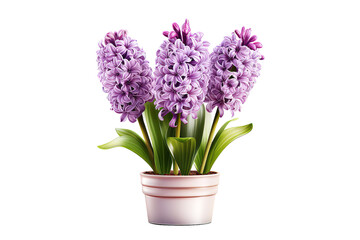 purple lilac blooms with a white photo frame