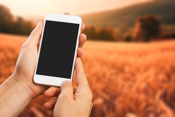 Farmer's holds a modern smartphone on a field background