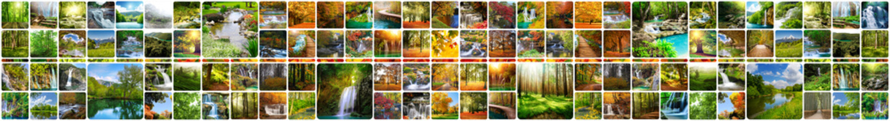 Collage summer and autumn forest
