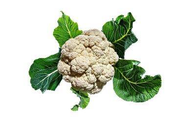 Whole raw cauliflower isolated on white background