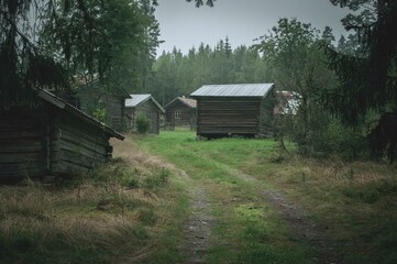 old barn in the woods