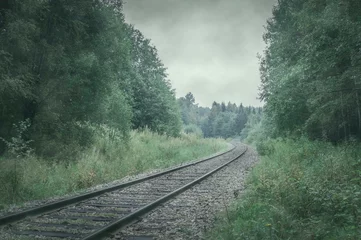 Wandaufkleber railway in the forest © Helen Pat