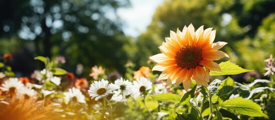 A vibrant summer garden filled with colorful blooms surrounds a sunflower, standing out in the midst of green foliage and orange hues.