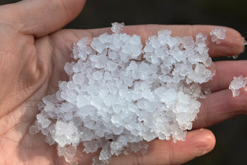 lot of round crystals of precipitation ice fell in the form of hail after a thunderstorm in spring in the hand