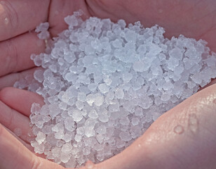 lot of round crystals of precipitation ice fell in the form of hail after a thunderstorm in spring in the hand