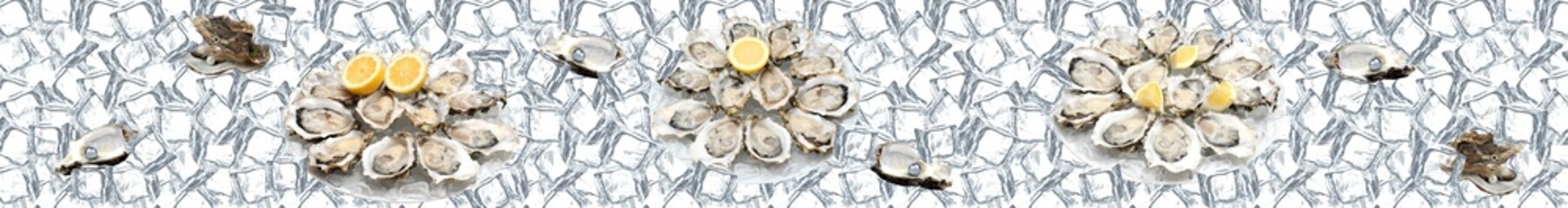 Oysters on ice cubes