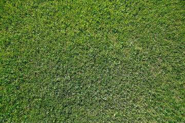 Green field from above