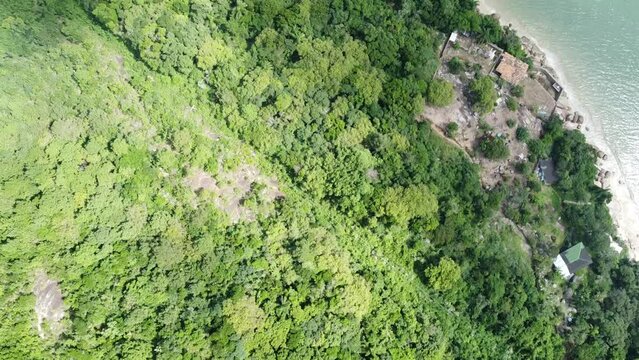 Praia Daniela Florianopolis Floripa Drone Natureza Preserva&ccedil;&atilde;o Tranquilidade Beleza Costeira Jurere Mar Oceano Areias Brancas Acesso Fam&iacute;lia Turismo Atrativos Esportes Passeios Paisagem Ecoturismo