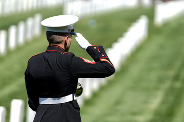 Honoring the Fallen: A Marine's Tribute at National Military Cemetery - obrazy, fototapety, plakaty