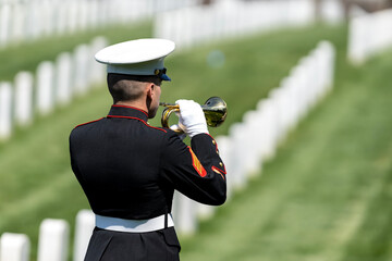 Honoring the Fallen: A Marine's Tribute at National Military Cemetery