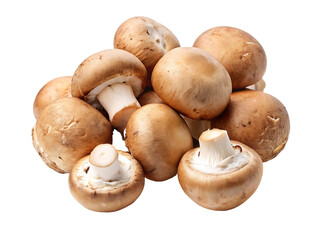Champignon mushrooms close-up, isolated on a transparent background.