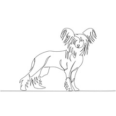 Chinese Crested Dog, companion dog, decorative dog breed one line art. Continuous line drawing of friend, dog, doggy, friendship, care, pet, animal, family, canine.