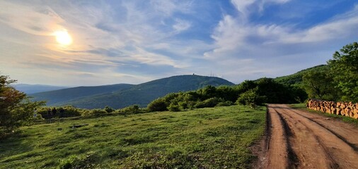 Rural dirt road winds through lush green hills © Wirestock